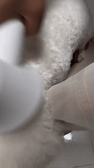 Silent Pet Hair Dryer with Brush