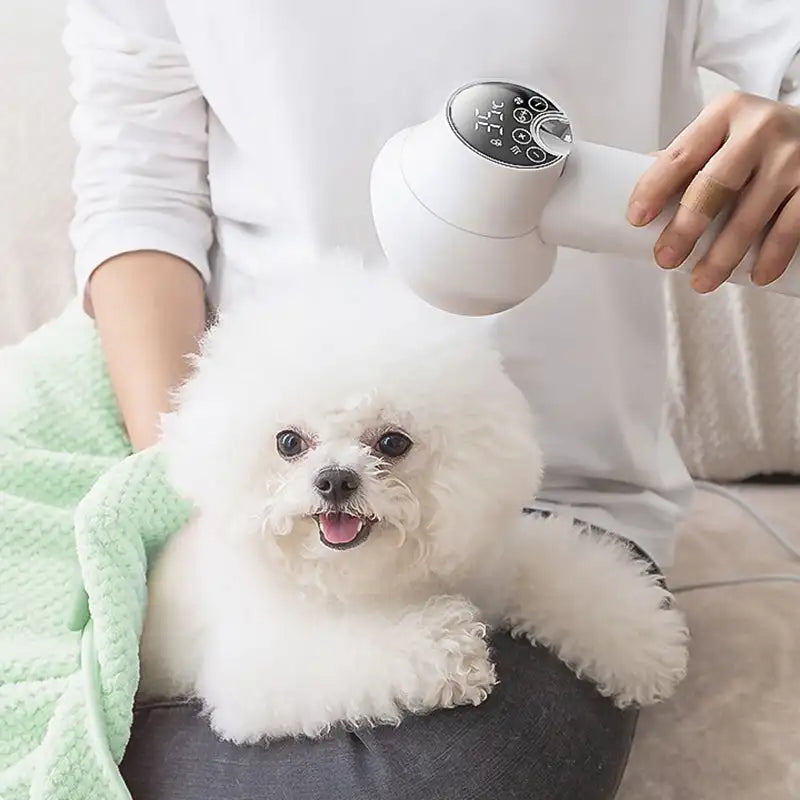 Silent Pet Hair Dryer with Brush